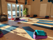 Effen-Yoga: Workshops en Retraite