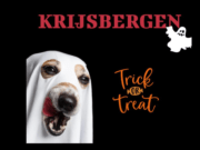 Team Krijsbergen