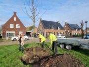 Wethouder Kools plant boom tijdens Nationale Klimaatweek.