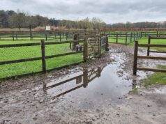 Speelboerderij den Scherpenberg