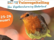 Tuinvogel telling 2025