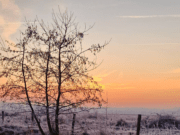 Maandagochtendwandeling in de pannenhoef/rondgors door Marlies van Geel