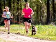 6 April 2025: Canicross Zundert