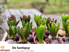 De Santspuy