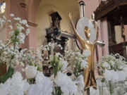 Parochie Christus Koning Zundert