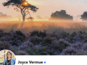 Veteranen op bezoek Traditiekamer Gilze-Rijen