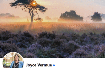 Burgemeester Joyce Vermue
