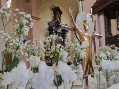 Parochie Christus Koning