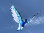 Rijsbergse Vliegerdagen 16 en 17 Augustus 2025