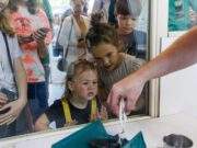 Vogelrevalidatiecentrum Zundert