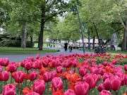 Gemeente Breda: Galderse Meren