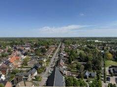 Lichaam aangetroffen in bosje naast maïsveld in Hoogstraten