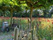 Woensdagmiddag naar de pluktuin?