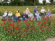 Buurtschap Rijsbergen