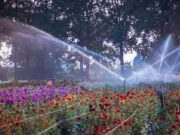 Water uit Aa of Weerijs mag niet meer worden gebruikt