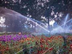 Water uit Aa of Weerijs mag niet meer worden gebruikt