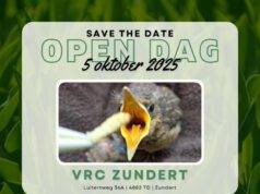 Open dag Vogelrevalidatiecentrum Zundert zondag 5 Oktober 2025