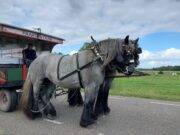 Op stap met de Huifkar