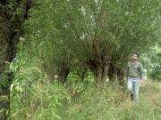 Boerenmarkt bij de Zwarte schuur in Rijsbergen