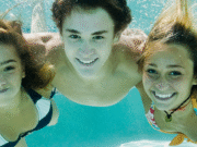 Hondenplons bij zwembad de Wildert