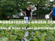 Oorkonde voor dagbesteding Stichting Groendoen