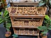 Groot Groen Plus Beurs