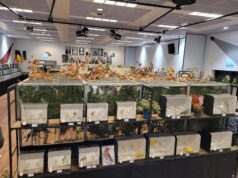 Tentoonstelling van de Vogelvriend Rijsbergen