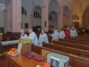 Herdertjestocht in Zundert