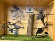 Kom je zondag naar de Open dag VRC Zundert?