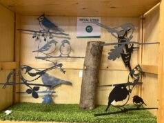 Kom je zondag naar de Open dag VRC Zundert?