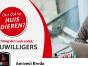 Konijn gevonden Sint Bavostraat Rijsbergen