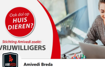 Konijn gevonden Sint Bavostraat Rijsbergen