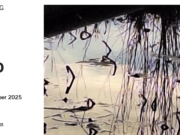 Van GoghAir open atelier De Moeren