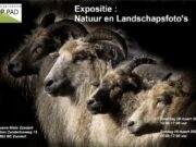 De jaarlijkse expositie komt er weer aan!