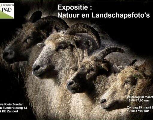 De jaarlijkse expositie komt er weer aan!