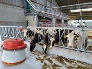 Gezocht Robotmelker/melkster (m/v)