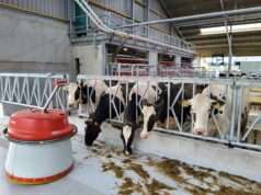 Gezocht Robotmelker/melkster (m/v)