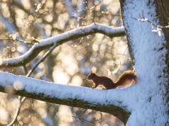 West Brabant Natuurmonumenten