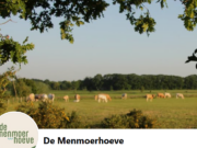 De Menmoerhoeve: pinpas gevonden