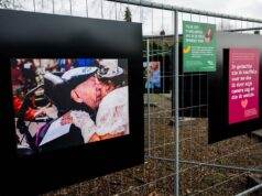 Openbare foto expositie midden in Zundert