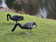 Welkom in Arboretum in Kalmthout