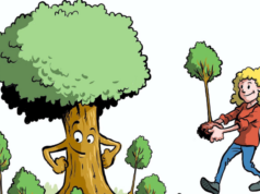 Heb jij nog een plekje voor een mooie boom?