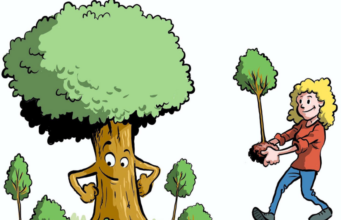 Bomenridders Zundert zoekt bomen met een verhaal