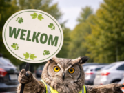 Open dag Vogelrevalidatiecentrum