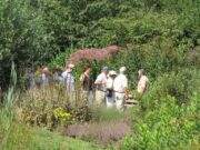 Vogelrevalidatiecentrum Zundert
