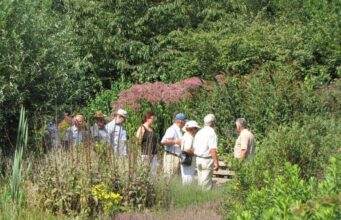 Een boom is buitengewoon