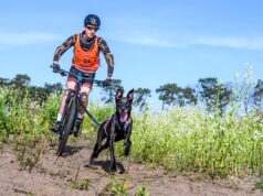 Een bijzonder succesvolle Canicross Zundert!