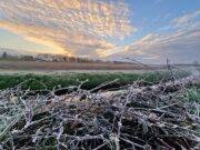 Rijsbergen bij het Nos journaal-weerbericht