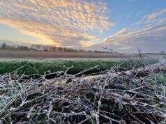 Rijsbergen bij het Nos journaal-weerbericht