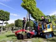 De Vossenberg Boomkwekerij